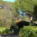 Camping Castelsec près de la méditerranée
