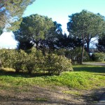 Camping Castelsec près de la méditerranée