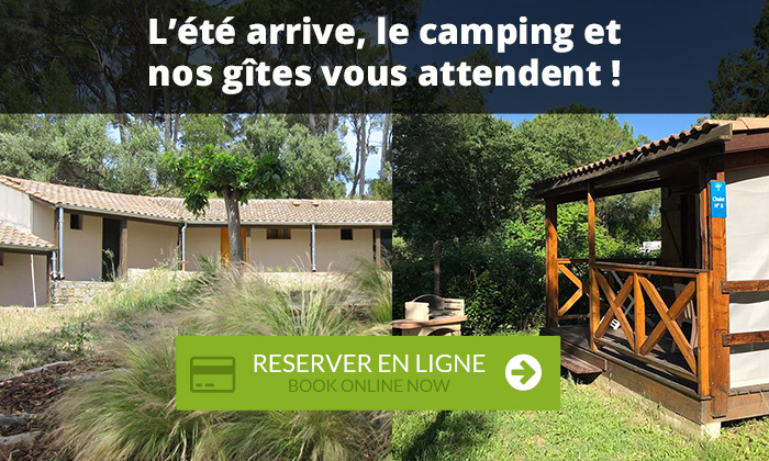 Disponibilités du camping cet été