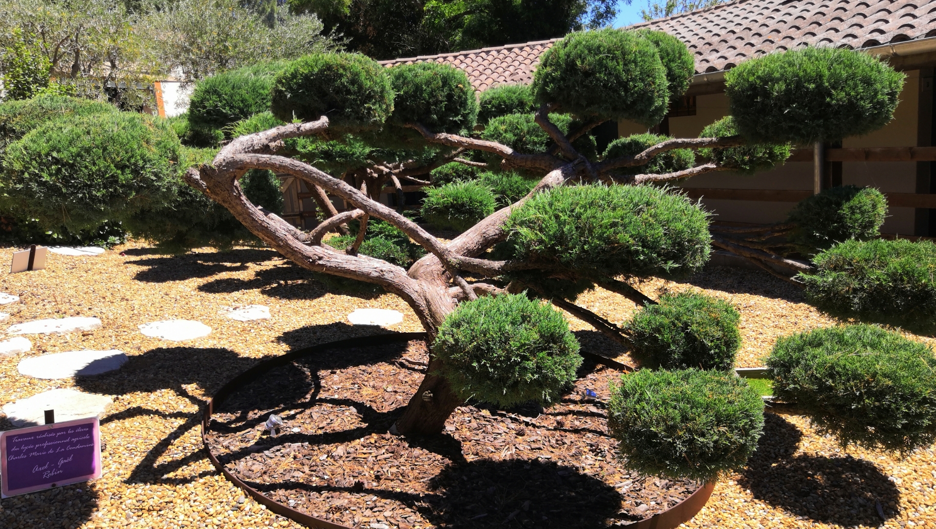 Camping gîtes pézenas